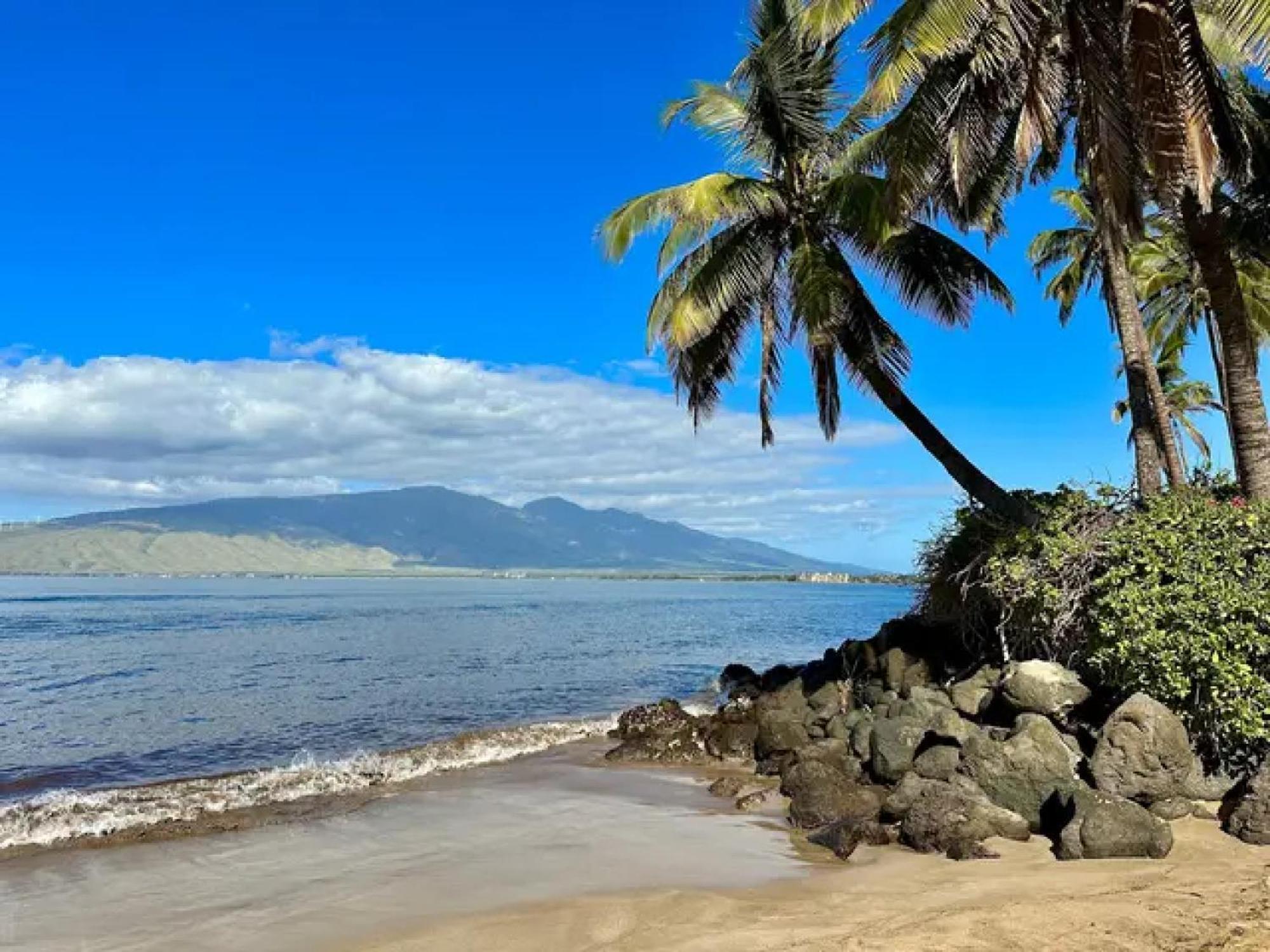 Cozy Maui Studio Retreat Just Steps To The Sand! Kihei Buitenkant foto
